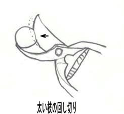 剪定鋏の回し切り1