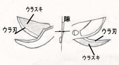 剪定鋏のウラスキ