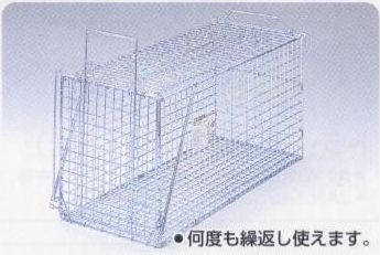 �A�j�}���L���b�`���[�T�J�G�ߊl��W�����{LD75